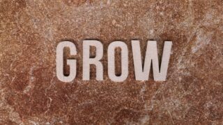 潰しが効く汎用的なスキルが無い中で、いかにしてキャリアを築くべきか。