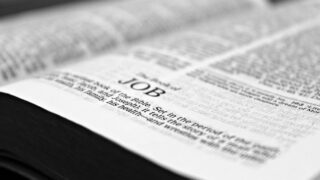 【辞めコンサル】ポストコンサルとして目指すべき会社とポジションとは。何者になるのかを決める際の考え方