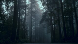 【自信喪失】自分を信じることができなくなったらどうしたらいいのか。社会人がそれでも立ち直るためにすべきこと