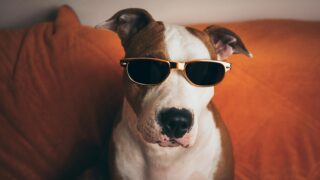 仕事が楽しくない理由。やらされ仕事への対処法と仕事が楽しくなる思考法。