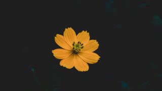 【全社会人必須スキル】期待値コントロールが重要である理由